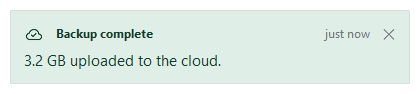 A persistent notification with a close button — light theme